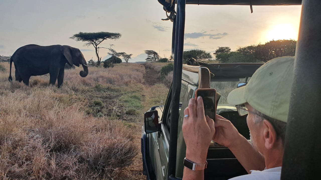 Guest filming an elephant with a smartphone